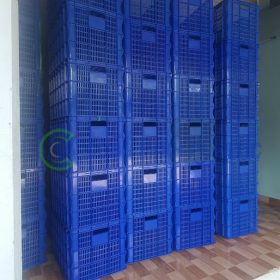 Thùng nhựa rỗng 8BX