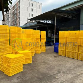 Thùng nhựa rỗng HS004