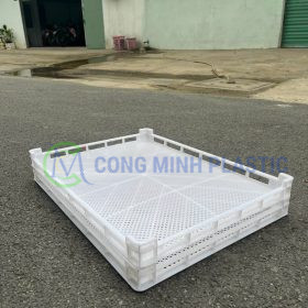 Vỉ sấy hoa quả