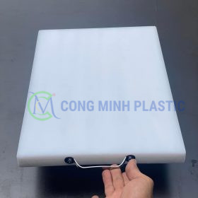 Thớt Nhựa PE CM-2412