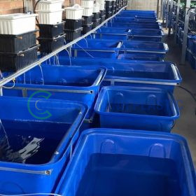 Thùng Nhựa Chữ Nhật 1800 Lít