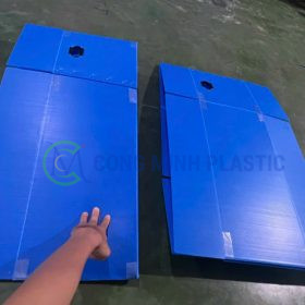 Thùng Nhựa Danpla Có Vách Ngăn