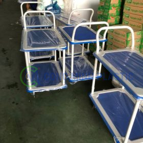 Xe Đẩy Hàng XTH250S2