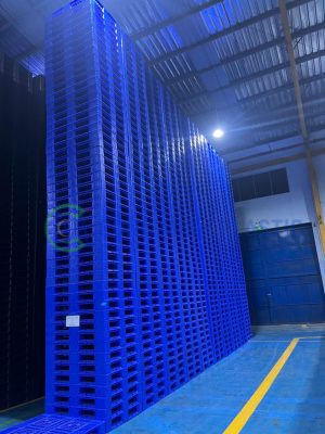 Pallet Nhựa 08 Lõi Thép CM1210-150MH